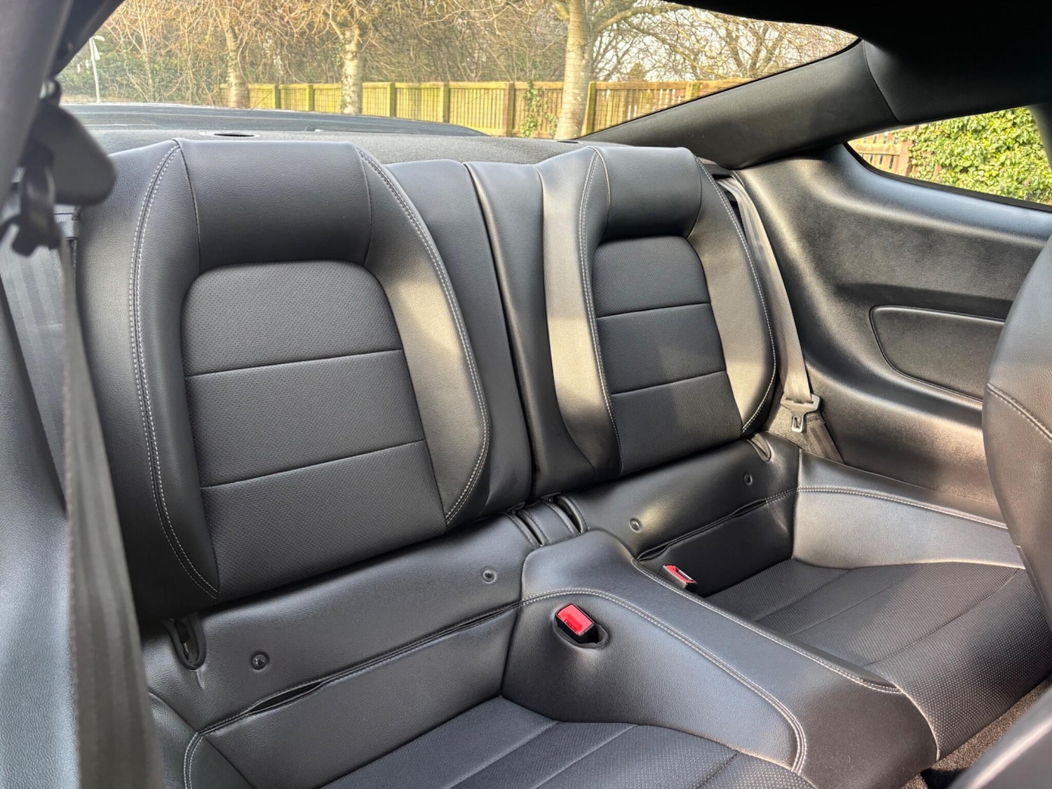 Used Ford Mustang 2020 for sale - 77939375: Photo 12