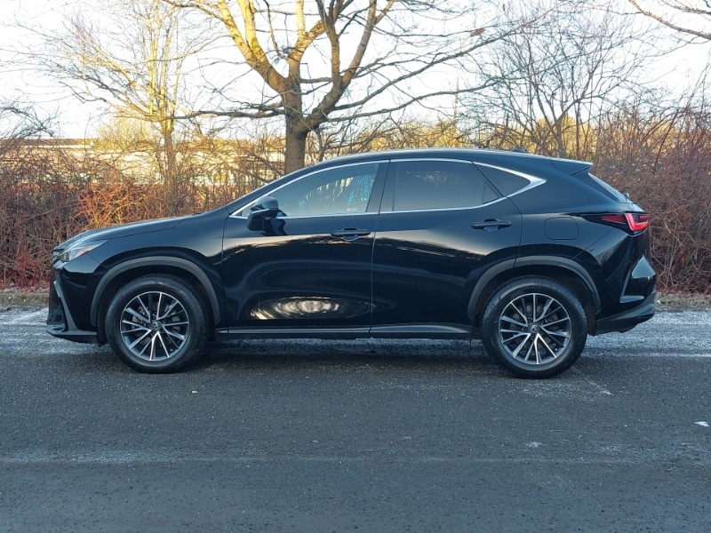 Used Lexus NX 2022 for sale - 77273270: Photo 4