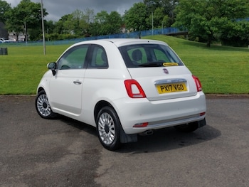 Used Fiat 500 2017 for sale - 79011502: Photo