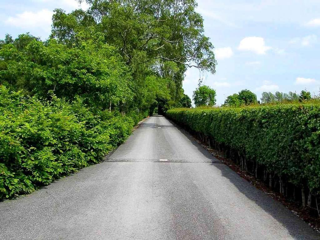 Used SEAT Ibiza 2012 for sale - 76572124: Photo 48