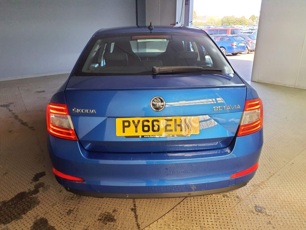 Used Skoda Octavia 2016 for sale - 78003368: Photo 5