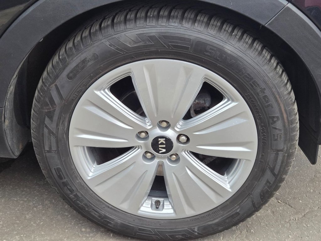 Used Kia Sportage 2015 for sale - 76554784: Photo 42