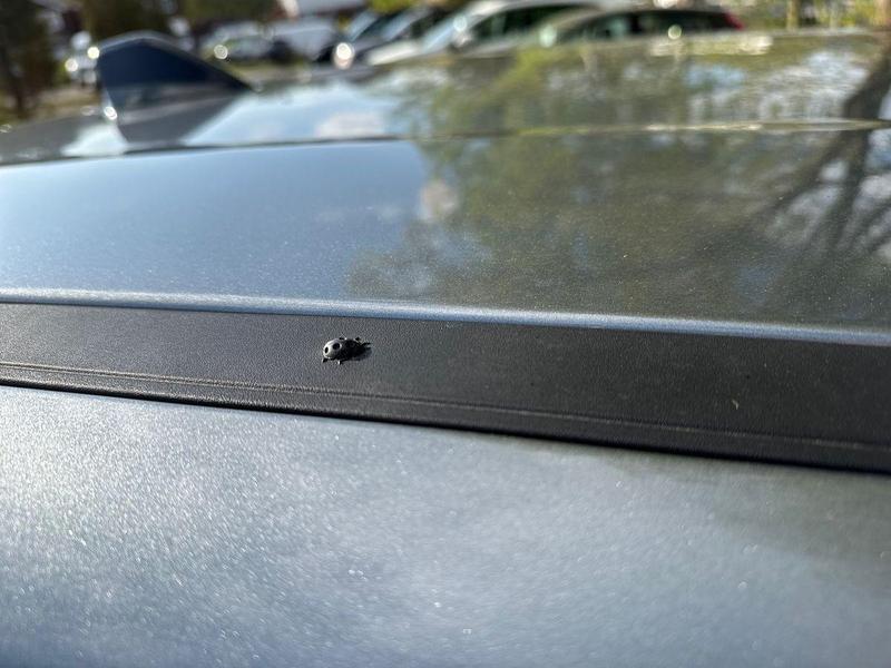 Used Jeep Other 2025 for sale - 76888114: Photo 25