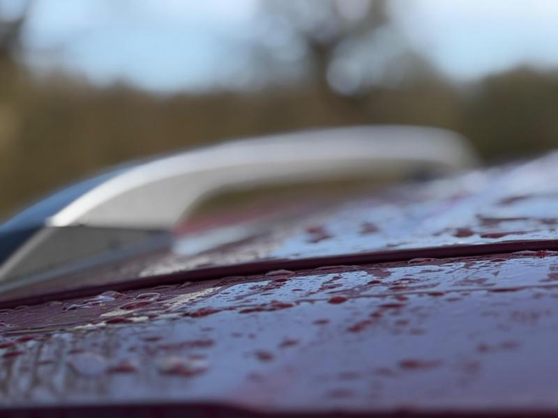 Used Ssangyong Korando 2023 for sale - 77888334: Photo 55