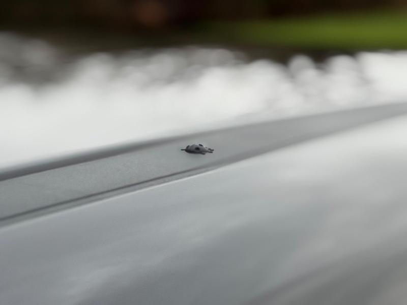 Used Jeep Other 2024 for sale - 76933586: Photo 52