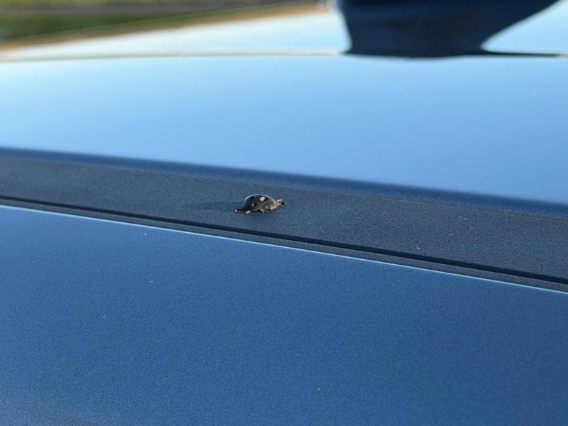 Used Jeep Other 2025 for sale - 77427104: Photo 50