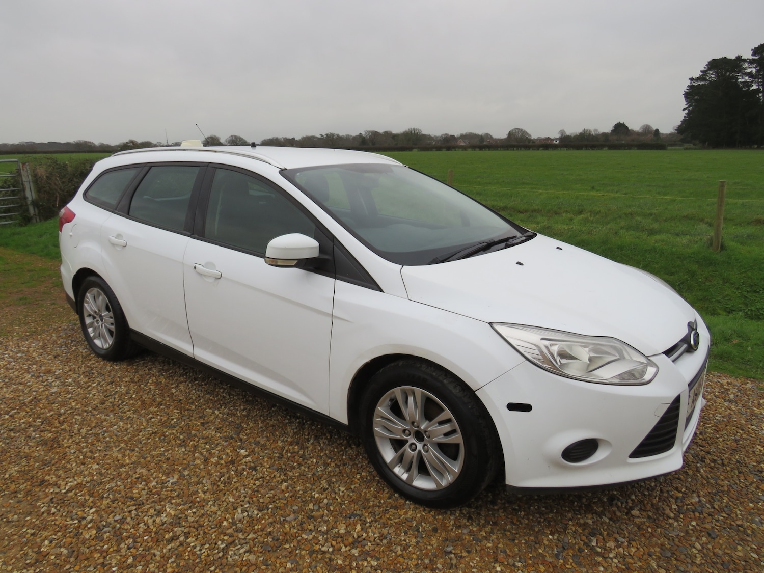 Used Ford Focus 2015 for sale - 73142864: Photo 11