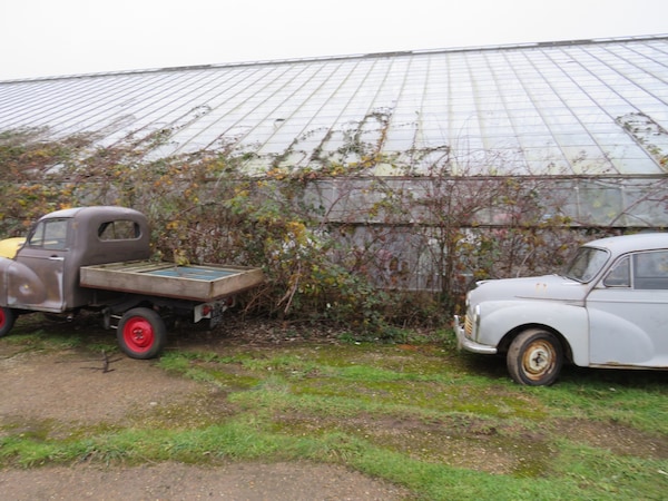 Used Morris Minor 1967 for sale - 73011901: Photo 35
