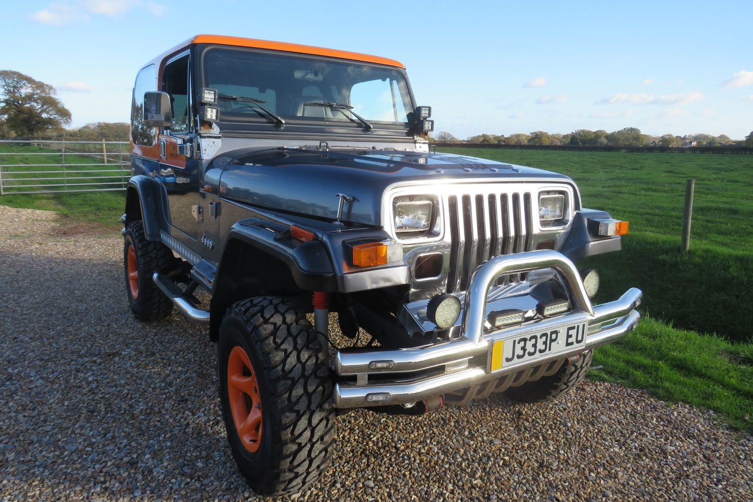 Used Jeep Wrangler 1996 for sale - 76603022: Photo 26