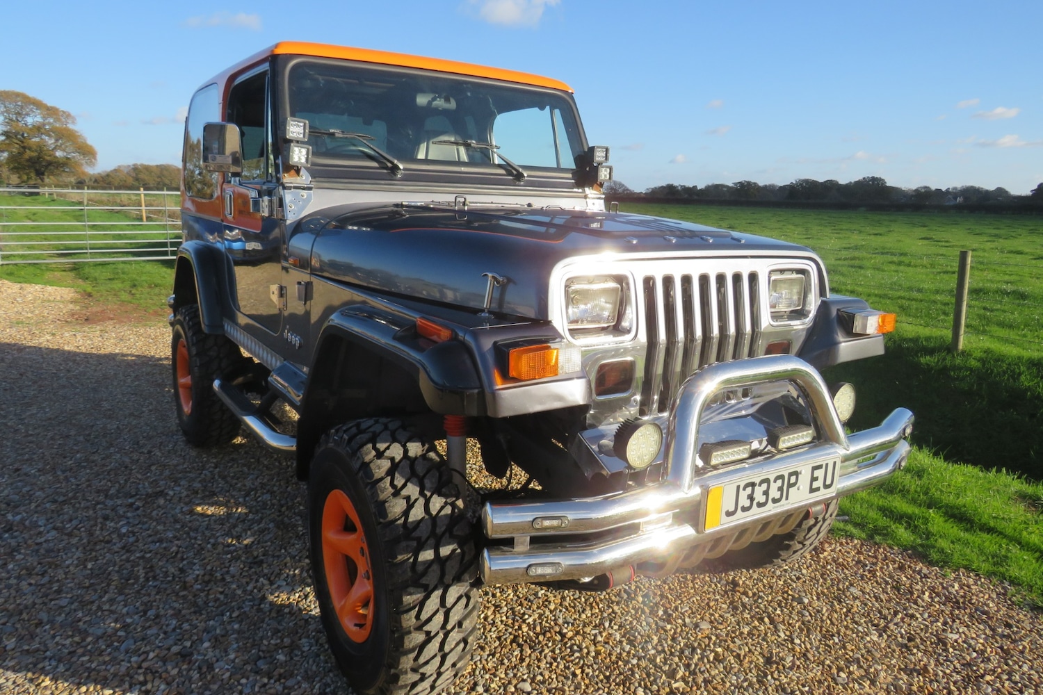 Used Jeep Wrangler 1996 for sale - 76603022: Photo 33