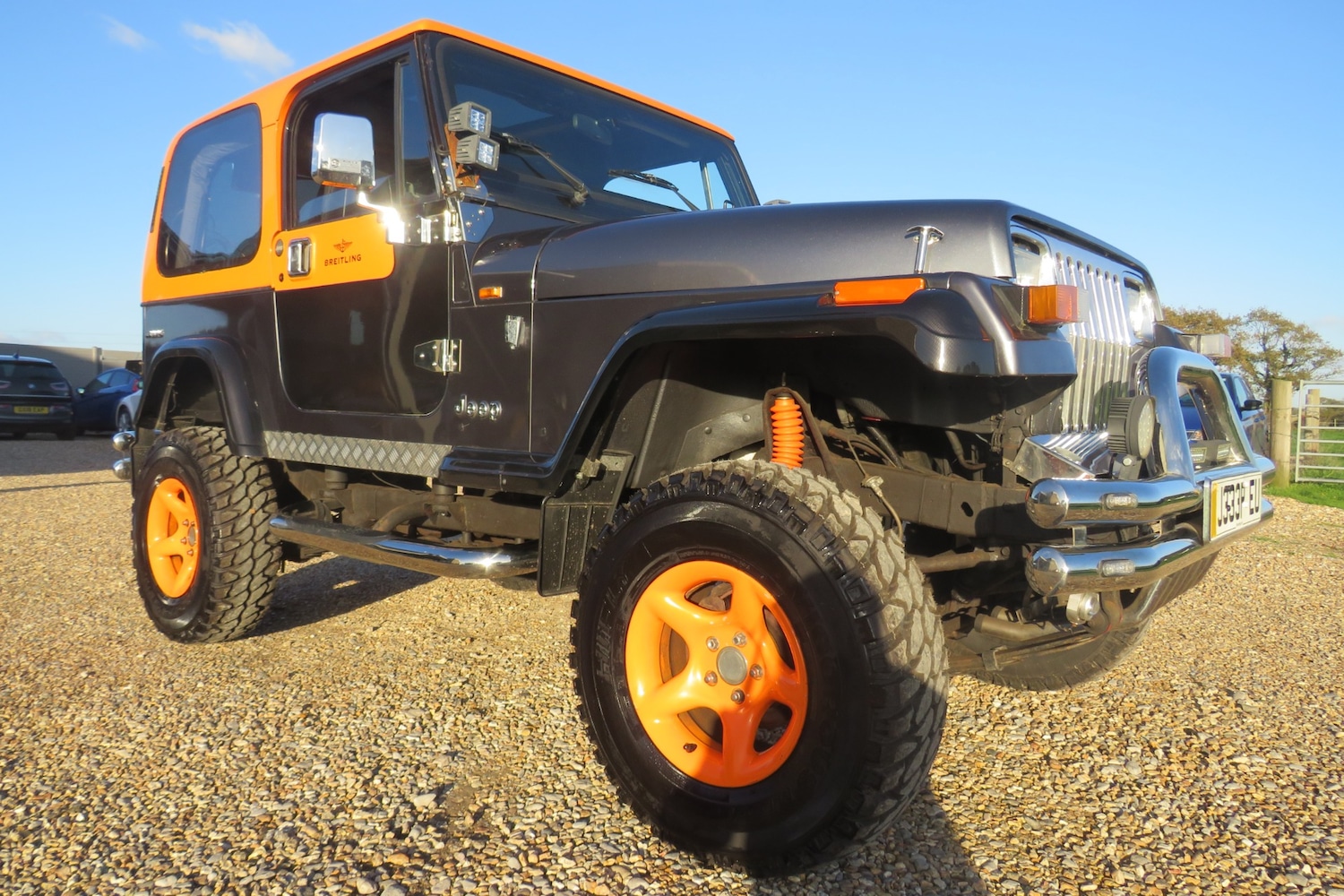 Used Jeep Wrangler 1996 for sale - 76603022: Photo 37