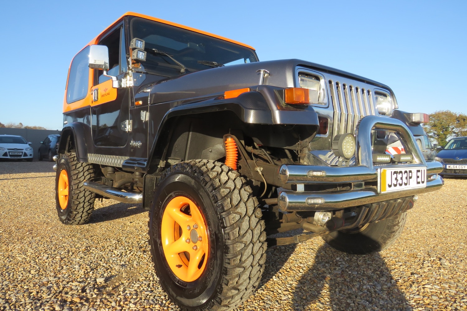 Used Jeep Wrangler 1996 for sale - 76603022: Photo 38