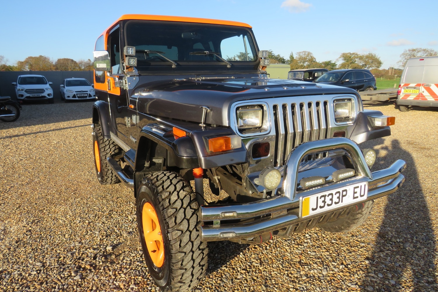 Used Jeep Wrangler 1996 for sale - 76603022: Photo 39