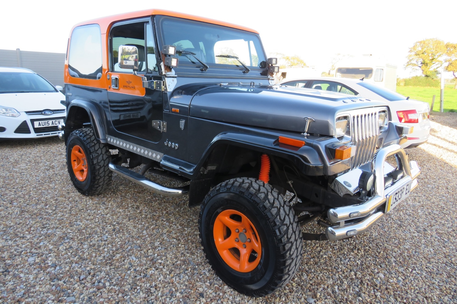 Used Jeep Wrangler 1996 for sale - 76603022: Photo 45