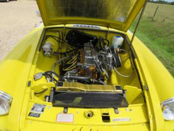 Used MG Other 1981 for sale - 75108372: Photo