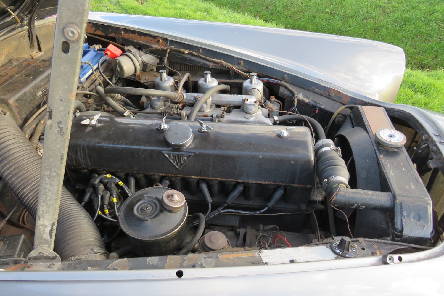 Used Alvis TF21 1960 for sale - 76009234: Photo 35