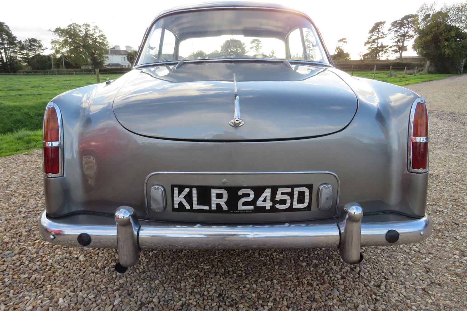 Used Alvis TF21 1960 for sale - 76009234: Photo 47