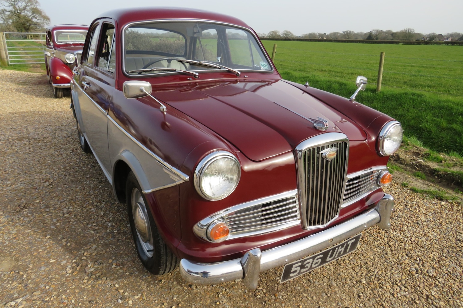 Used Wolseley 1500 1963 for sale - 77812799: Photo 2