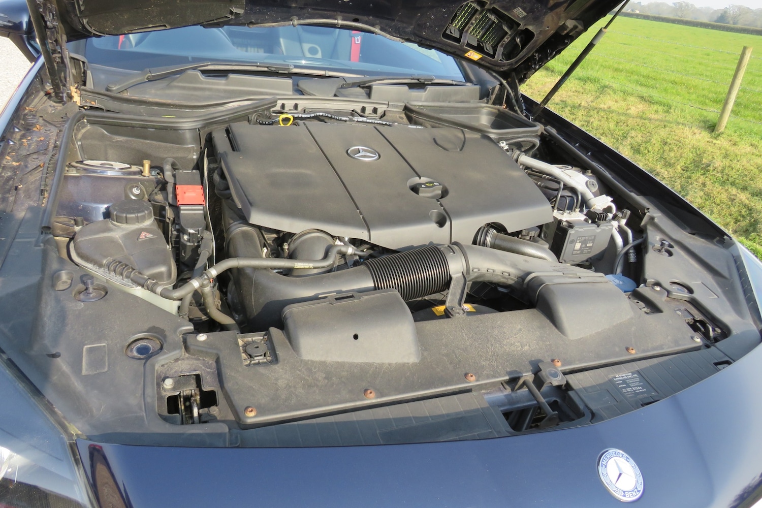 Used Mercedes-Benz SLK 2013 for sale - 77983529: Photo 30