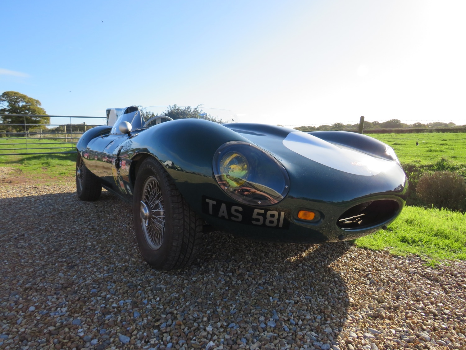 Used Jaguar D-Type 1959 for sale - 76363328: Photo 4