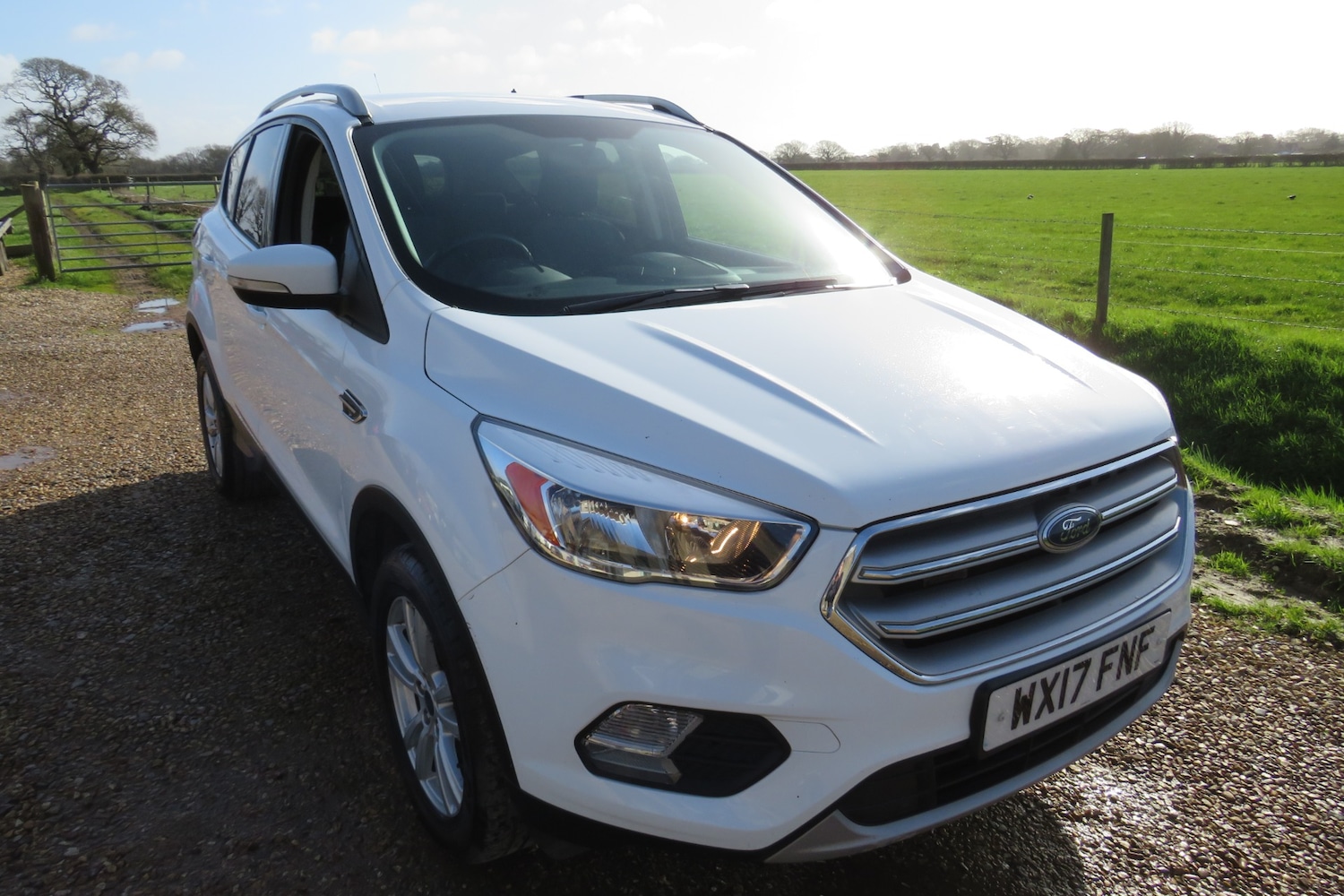 Used Ford Kuga 2017 for sale - 77813215: Photo 2