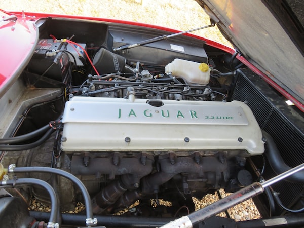 Used Ferrari 365 1977 for sale - 75561682: Photo 5