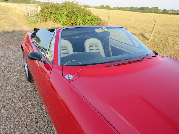 Used Ferrari 365 1977 for sale - 75561682: Photo 69