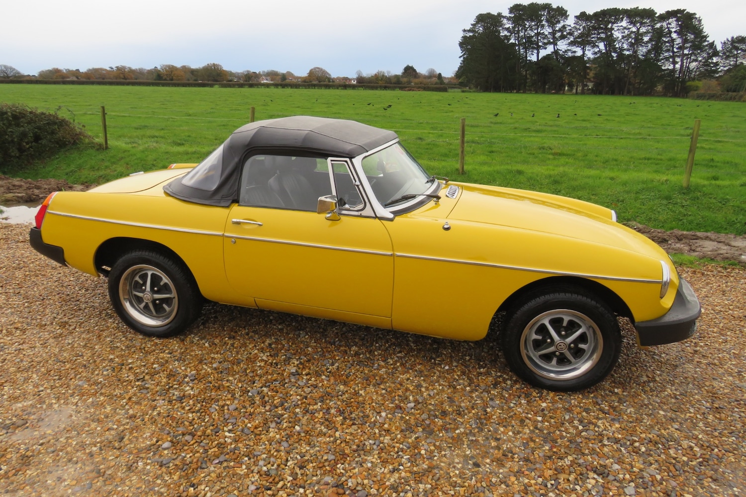 Used MG MGB 1978 for sale - 76830787: Photo 11