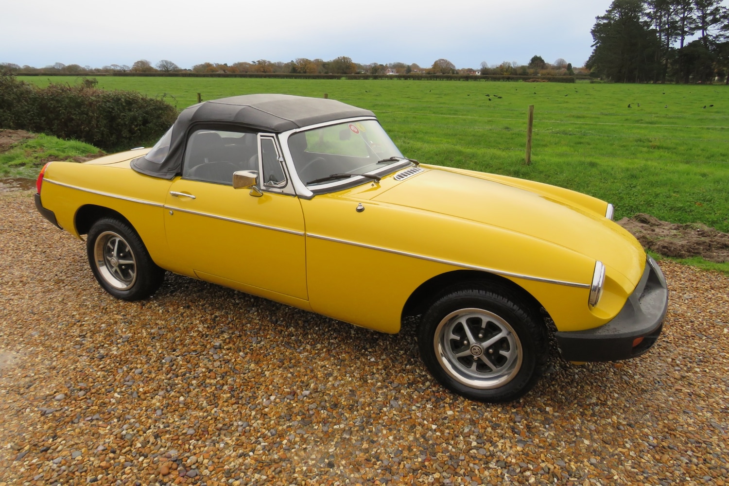 Used MG MGB 1978 for sale - 76830787: Photo 13