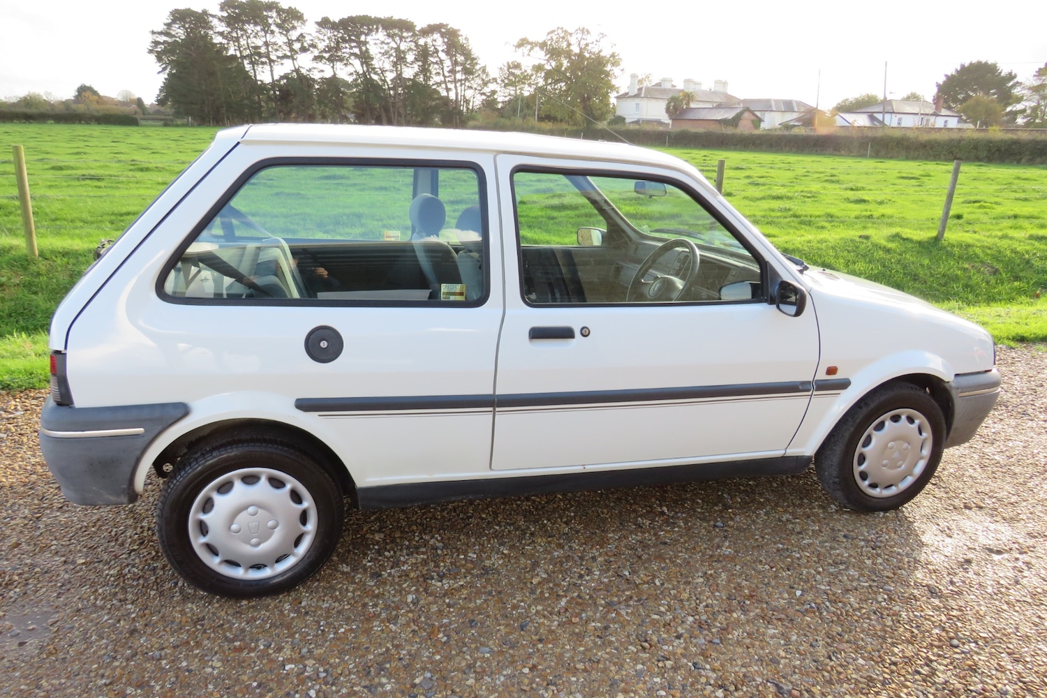 Used Rover 100 1995 for sale - 73802905: Photo 44