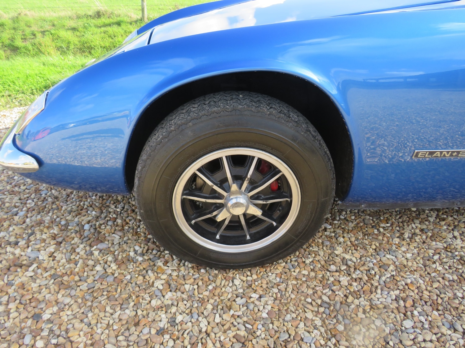 Used Lotus Elan 1972 for sale - 75866242: Photo 34