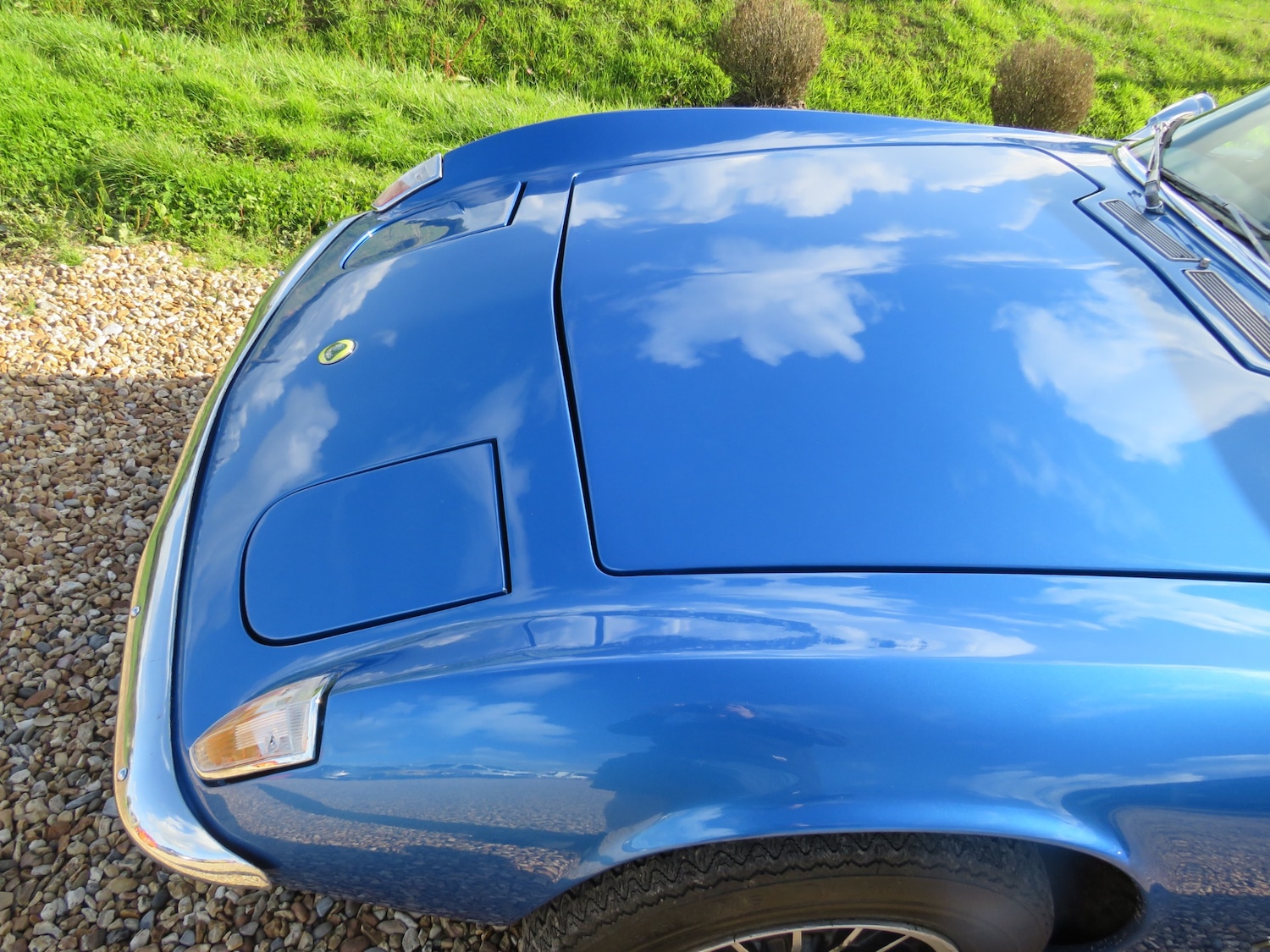 Used Lotus Elan 1972 for sale - 75866242: Photo 50