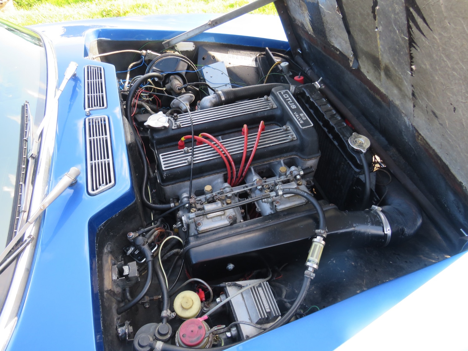 Used Lotus Elan 1972 for sale - 75866242: Photo 52