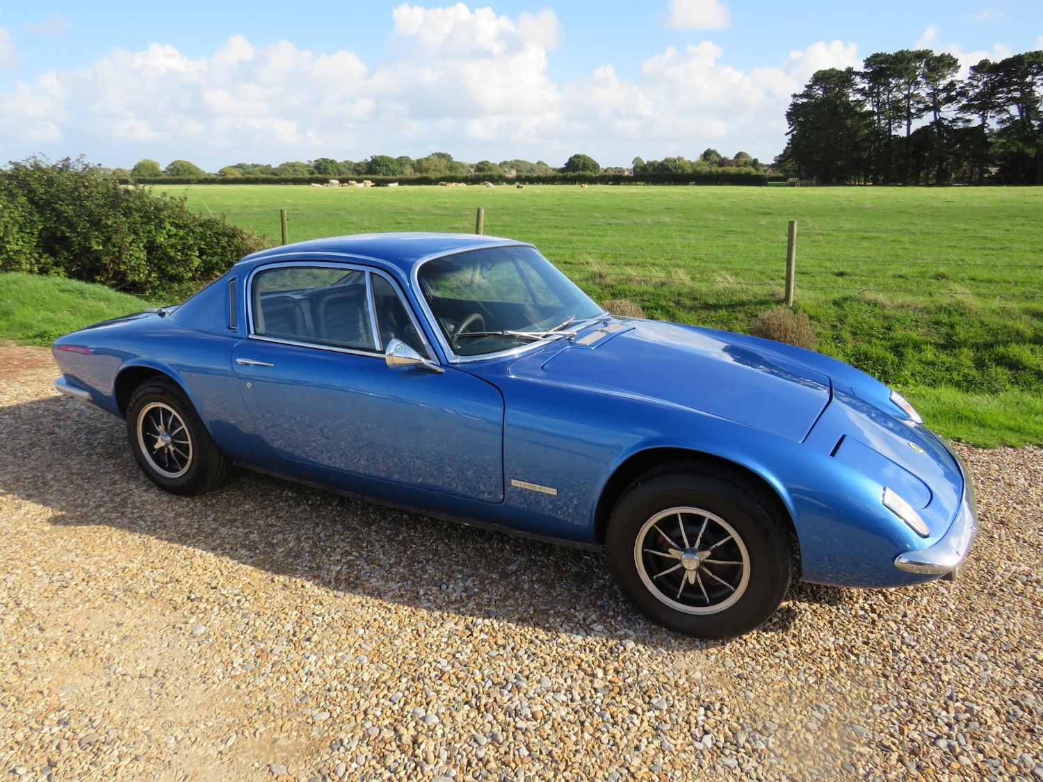 Used Lotus Elan 1972 for sale - 75866242: Photo 6