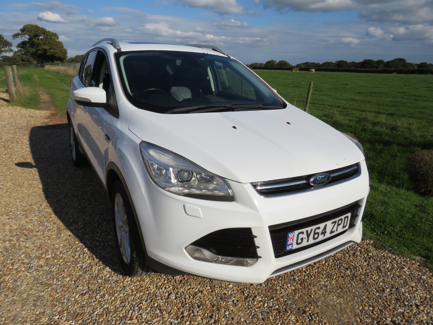 Used Ford Kuga 2014 for sale - 75918510: Photo 3