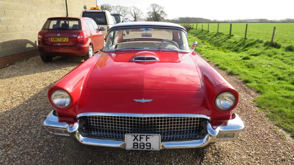 Used Ford Thunderbird 1957 for sale - 66722853: Photo 52