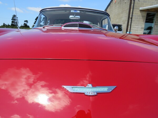 Used Ford Thunderbird 1957 for sale - 66722853: Photo 76