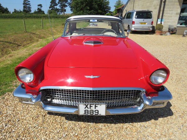 Used Ford Thunderbird 1957 for sale - 66722853: Photo 84