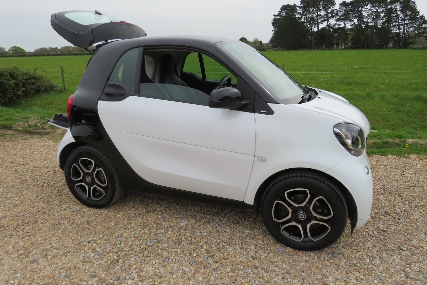 Used smart fortwo 2018 for sale - 78180600: Photo 6