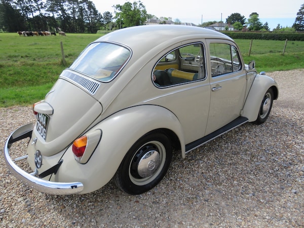Used Volkswagen Beetle 1968 for sale - 71006543: Photo 16