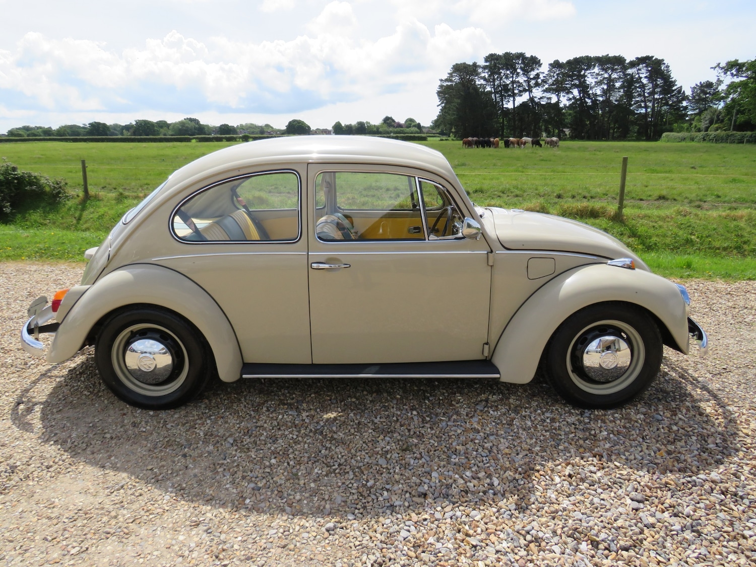 Vehicle 41