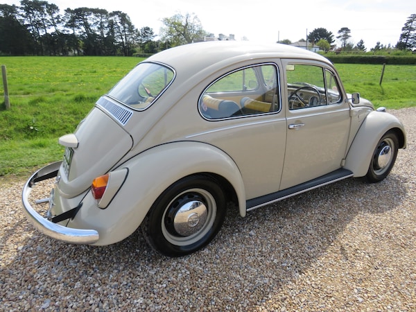 Used Volkswagen Beetle 1968 for sale - 71006543: Photo 80