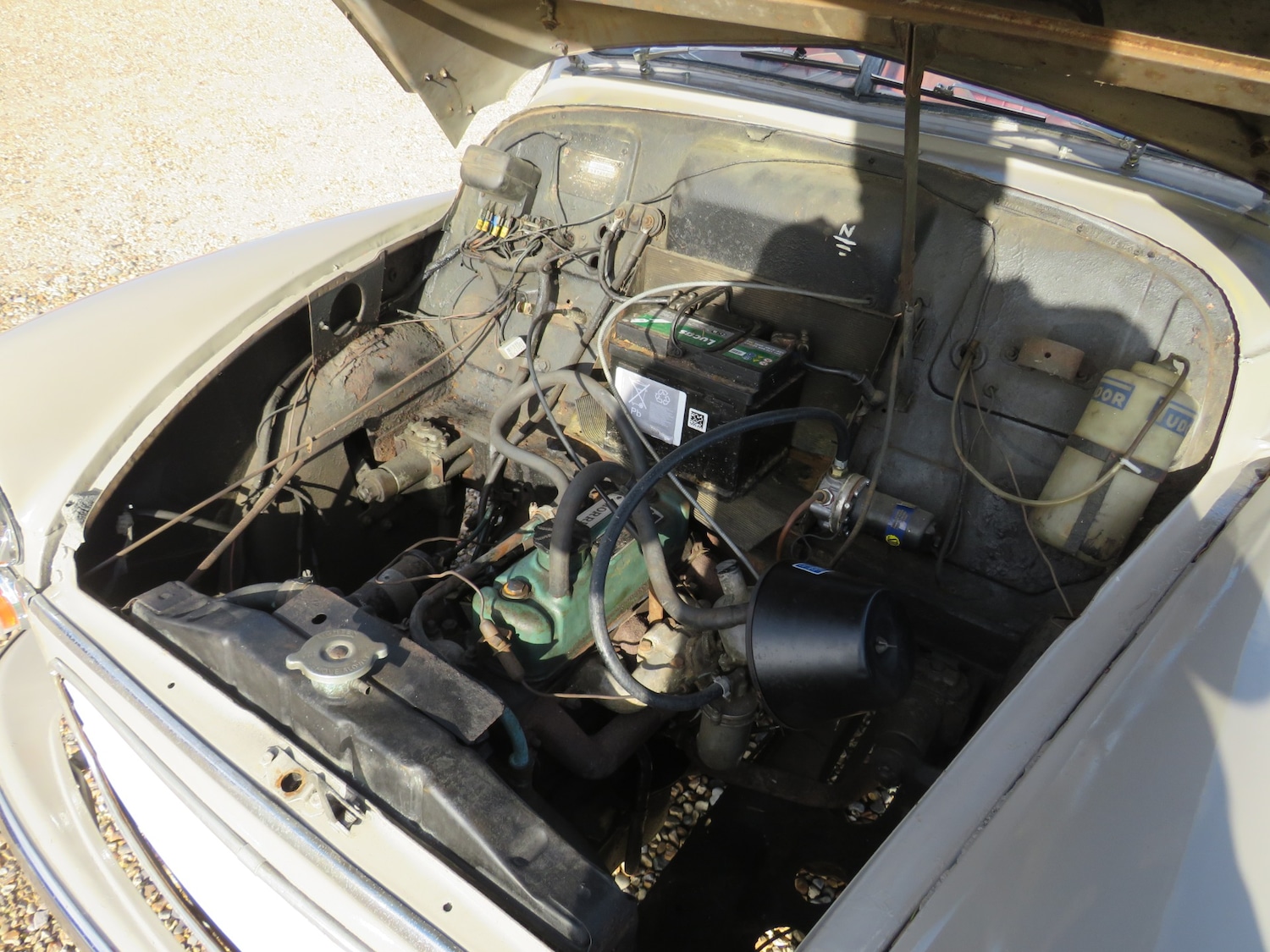 Used Morris Minor 1955 for sale - 76183802: Photo 42