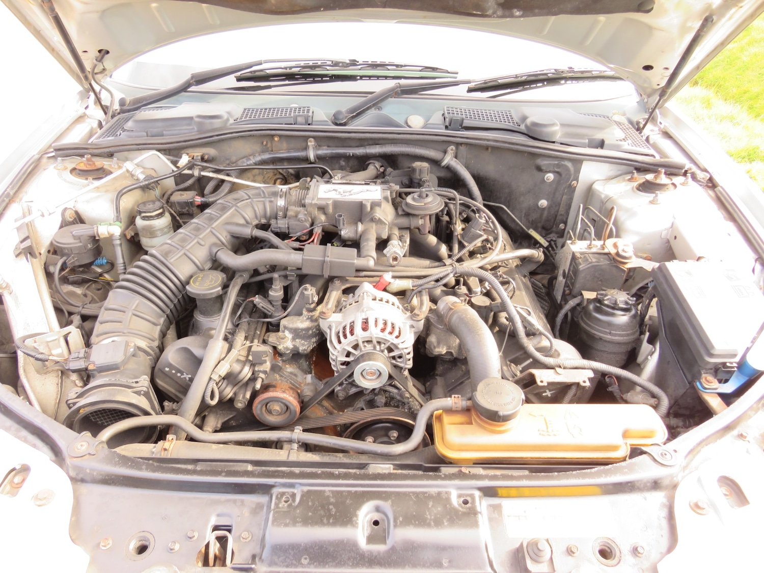 Vehicle 36