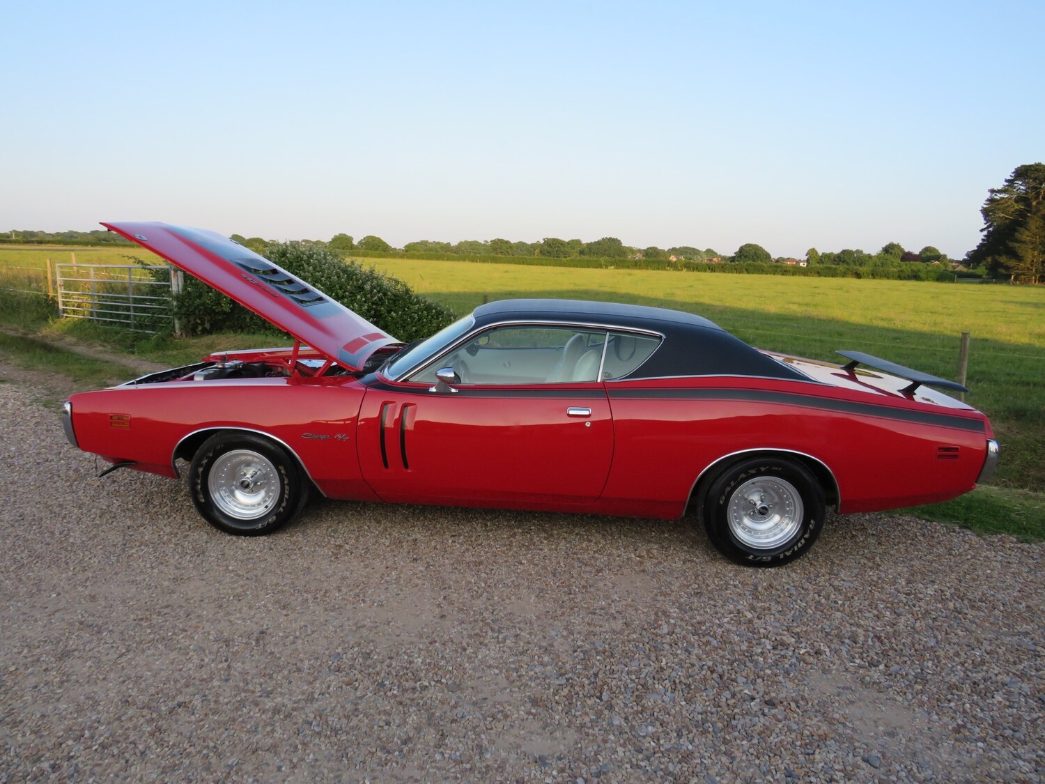 Used Dodge Charger 1971 for sale - 75025825: Photo 12