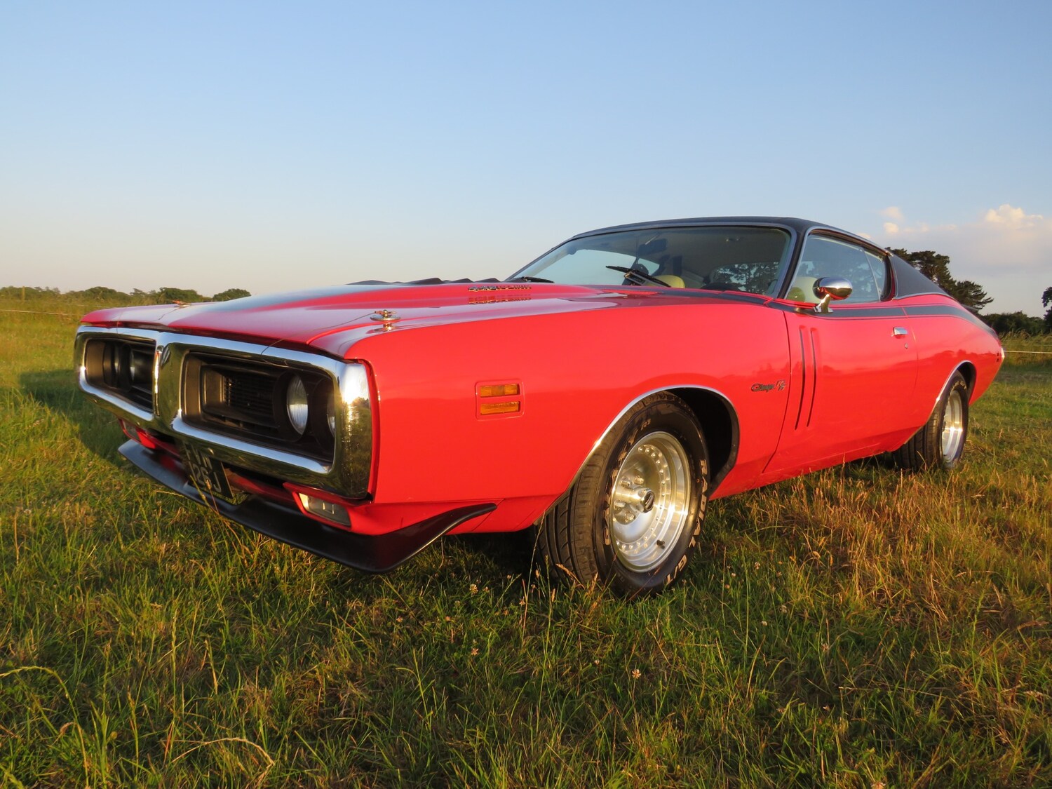 Used Dodge Charger 1971 for sale - 75025825: Photo 45