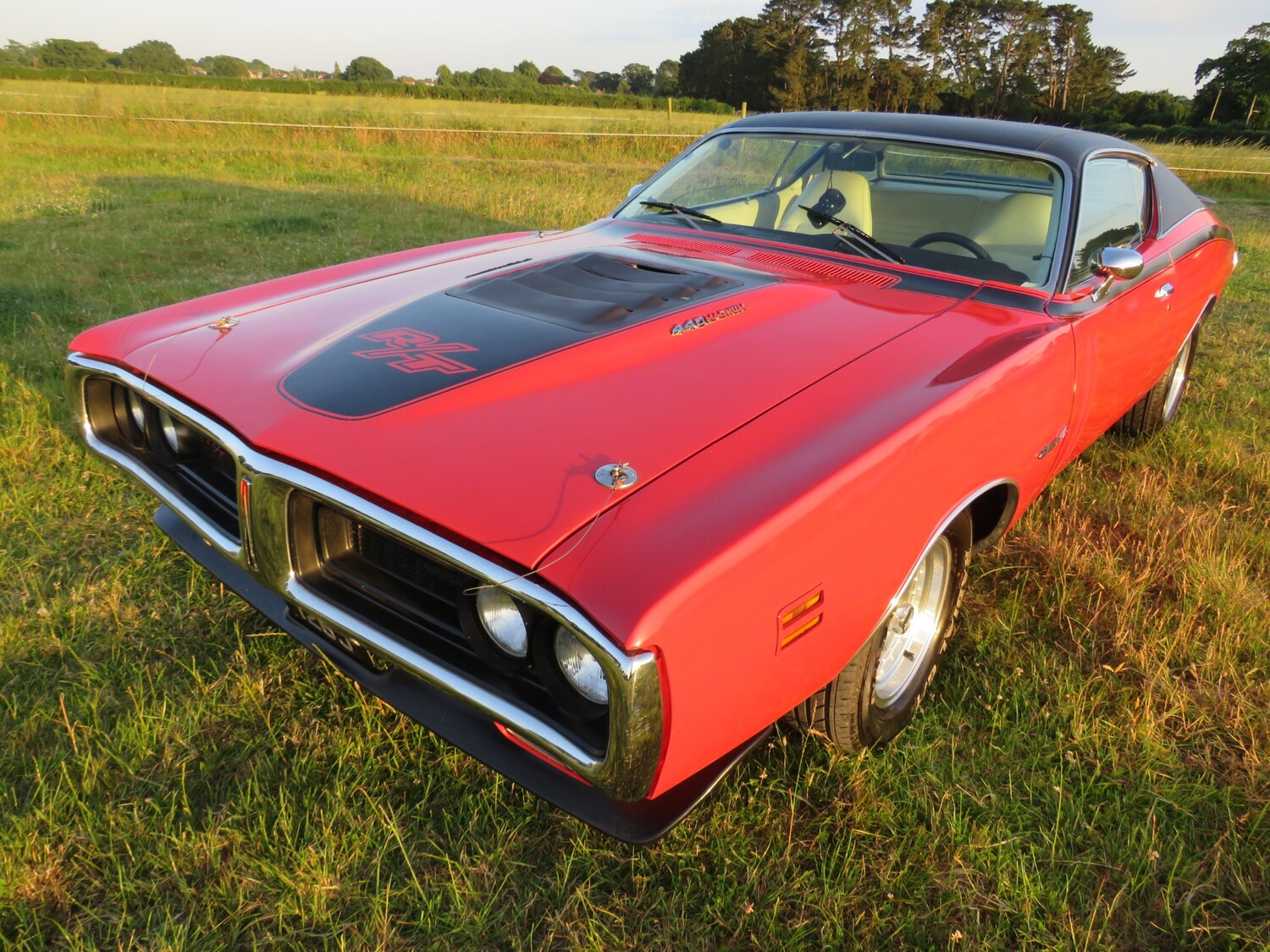 Used Dodge Charger 1971 for sale - 75025825: Photo 49