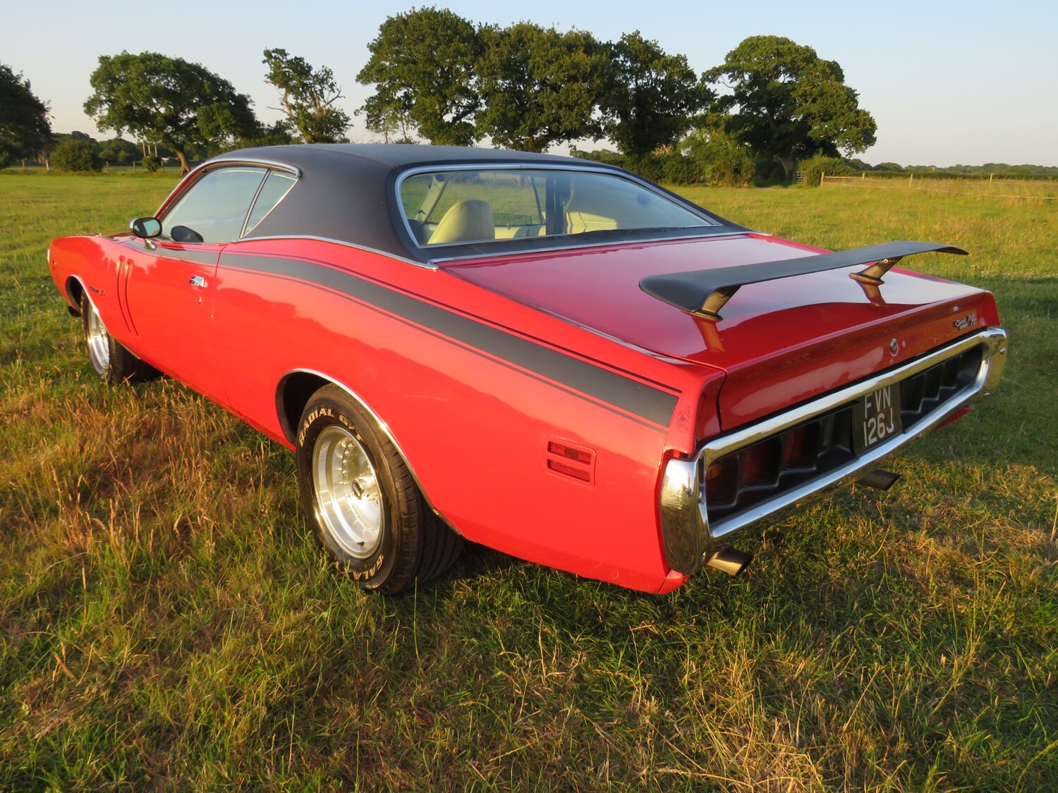 Used Dodge Charger 1971 for sale - 75025825: Photo 52