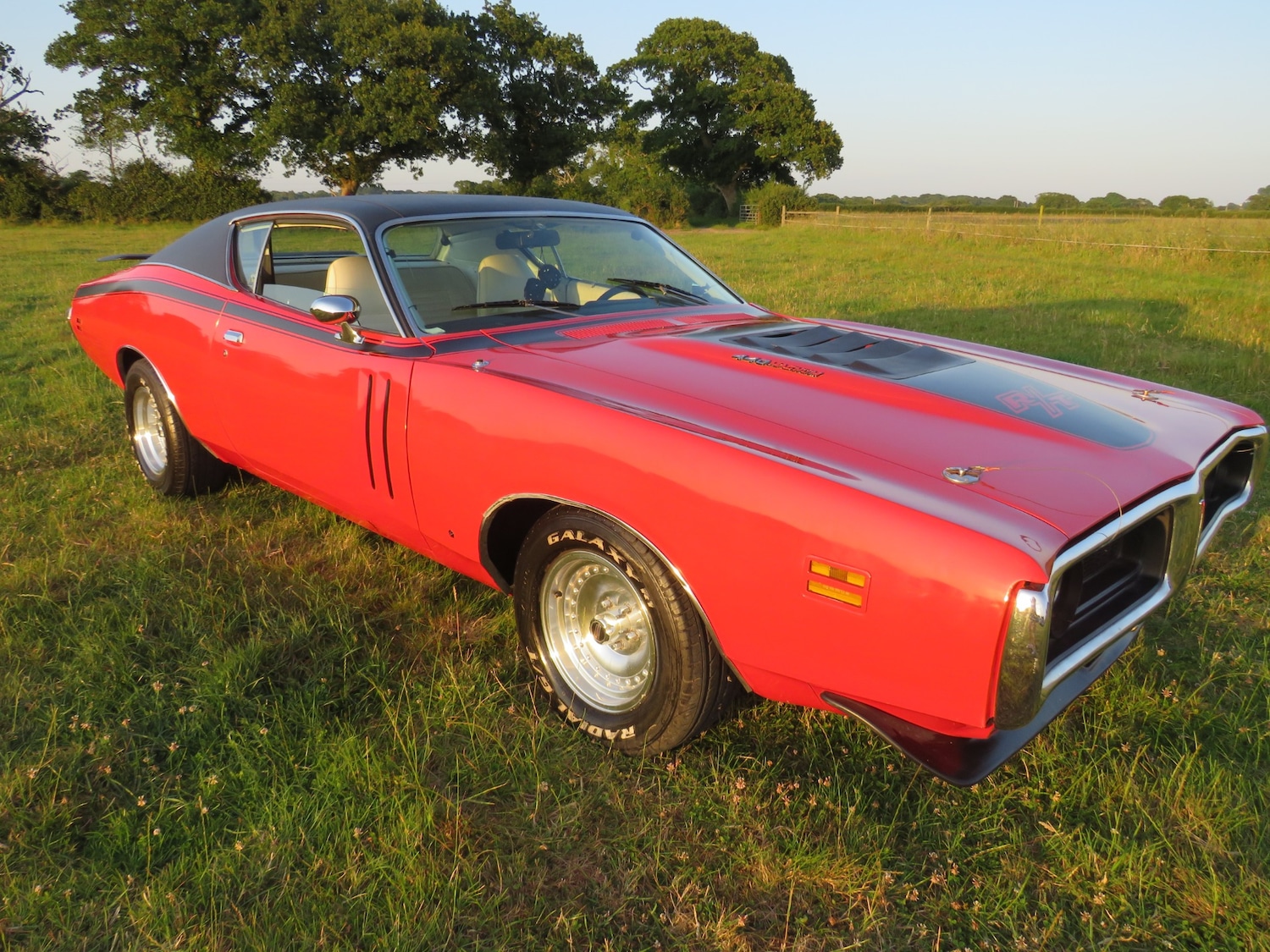 Used Dodge Charger 1971 for sale - 75025825: Photo 57