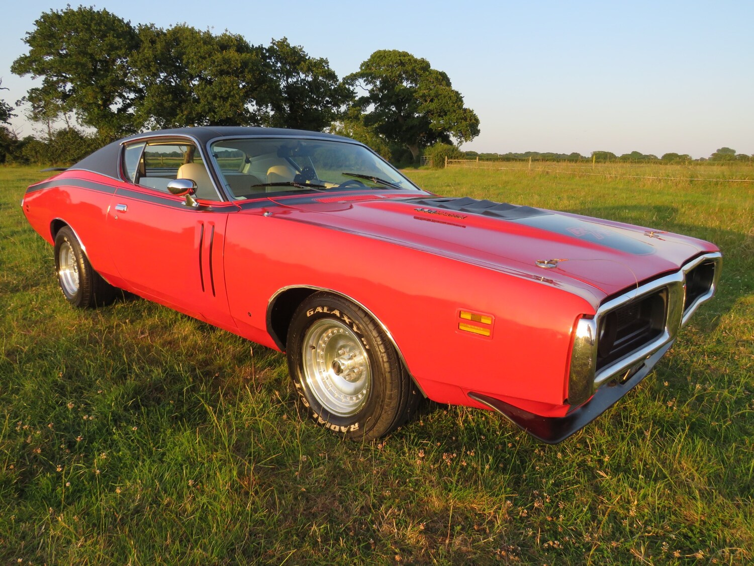 Used Dodge Charger 1971 for sale - 75025825: Photo 58